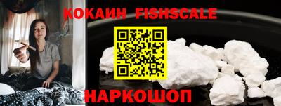 гашик Дубна