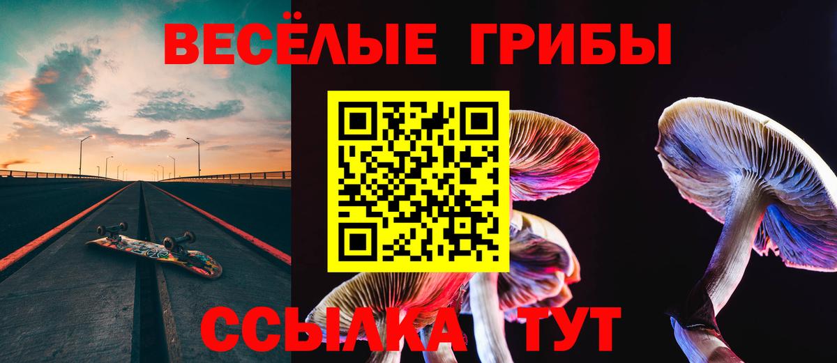 Псилоцибиновые грибы Magic Shrooms Соль-Илецк