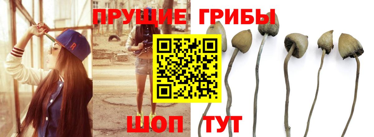 Галлюциногенные грибы прущие грибы  Вход с VPN  Псилоцибиновые грибы Magic Shrooms  Соль-Илецк 